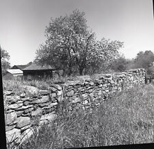 a19 Original Negative 1960's  Campo Seco rock wall old house 084a picture