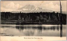 Trout Lake OR-Oregon, Mount Adams, Lake, Vintage Postcard picture