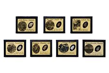 Shot Civil War Bullet Collection *Great Buy* with COA Set 2 of 3  picture
