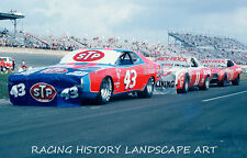 1975 DAYTONA 500 20x30 PHOTO #43 RICHARD PETTY STP DODGE KING RICHARD RACE CAR picture