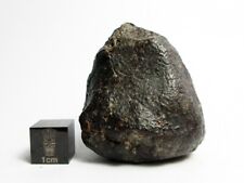NWA 869 Meteorite 68.43g Beautifully Shaped Chondrite picture