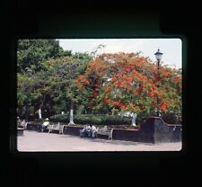 1985 Garden Taxco Mexico 35mm Slide Transparency 1 picture