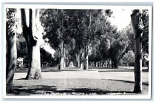 1945 The Parkway View McLaughlin Rialto California CA RPPC Photo Postcard picture