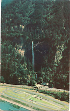 Multnomah Falls, Oregon OR-vintage unposted postcard picture