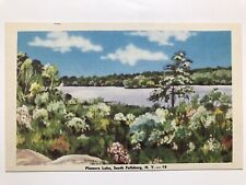 1940 Pleasure Lake South Fallsburg New York Postcard picture