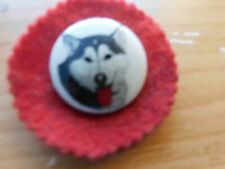1964 Anchorage Alaska Fur Rondy Rendezvous Ceramic Husky Red Felt Pin Button picture