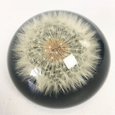 Vintage Natural Wonders Canada Dandelion Paperweight picture