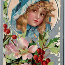 c1910s Lovely Colorful Happy New Year Embossed Silver Flower Postcard Hood A196 picture