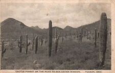 VINTAGE POSTCARD CACTUS FOREST ON THE ROAD TO SAN XAVIER MISSION TUSCON ARIZONA picture