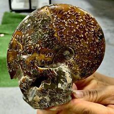 1.13LB Rare Natural Tentacle Ammonite FossilSpecimen Shell Healing Madagascar picture