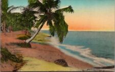 Tropical Shoreline Winter Park FL Hand Colored Vintage Postcard picture