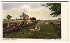 The Hawthorn Lane Nantucket MA Split Rail Fence Dirt Road c1900s UDB Postcard picture