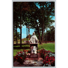Postcard MI Indian River Catholic Shrine Crucifix And Calvary Hill picture