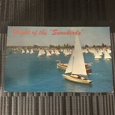 Postcard Flight of the Snowbirds, Sailboats, Balboa Island, California - 1950s picture