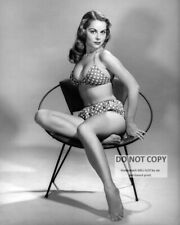 DIANE WEBBER MODEL AND ACTRESS PIN UP - 8X10 PUBLICITY PHOTO (DD694) picture