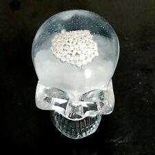 Shot For Brains Handmade Acrylic Skull Encased With .5 oz .999 Fine Silver Shot picture