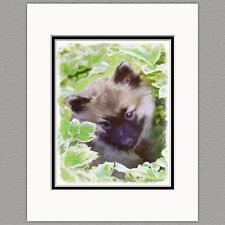 Keeshond Puppy in the Garden Original Art Print 8x10 Matted to 11x14 picture