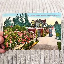 Rose Bordered Sidewalk Pasadena California Vintage Postcard picture