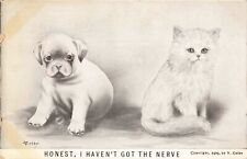 Honest I Haven't Got the Nerve Dog & Cat A/S Colby 1910 Postcard picture
