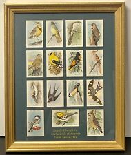 1926 Vintage 15 Card Set Church & Dwight Co. Bird Cards Custom Matted & Framed picture