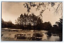c1910's View Of Pond Clarence Center New York NY RPPC Photo Antique Postcard picture