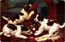 Raphael Tuck's Oilette  A SILVER SHOWER  Spaniel Dogs & Coin Purse 1908 Postcard picture
