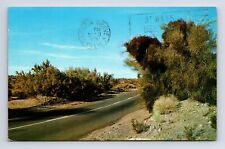 c1966 Trees of the Desert Garden Grove California CA Chrome Postcard picture