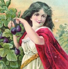 1880's-90's Syrup Of Figs Lovely Girl Gown Red Robe Trees Fab P201 picture