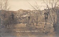 J36/ Silt Colorado RPPC Postcard c1910 Valley View Orchard Occupational 300 picture