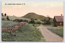c1910 Mt Double Head Jackson New Hampshire Vintage Carroll County NH Postcard picture