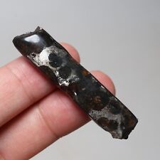 7g Beautiful SERICHO pallasite Meteorite slice - from Kenya C7754 picture