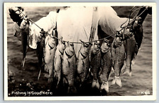 RPPC Vintage Postcard - Fishing is Good Here - Unposted - Real Photo picture