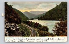 c1905 Tuck Taylor Rogers Bluff French Broad River Greetings Asheville NC P506A picture