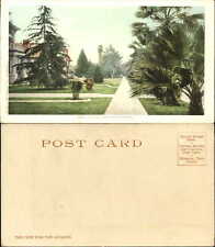 Typical California lawns Detroit Photographic No. 7348 UDB ca. 1905 picture