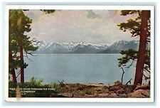 c1910's Lake Tahoe Through The Pines At Glenbrook California CA Antique Postcard picture