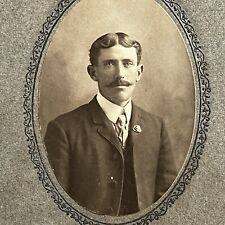 Antique Cabinet Card Photograph Handsome Man Mustache Great Hair Suit Tie Pin picture