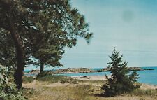 Vintage Postcard Shiras Park Marquette Michigan Photograph Unposted picture