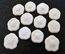 12 White Baby Sea Biscuits (Sea Cookies) 3/4-1