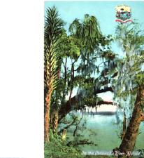 Vintage On the Oklawaha River FL Postcard Florida Artistic Series by M. Mark A14 picture