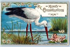 Congratulations Postcard Stork And Baby Flowers Embossed c1910's Antique picture