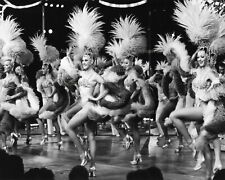 1950's Show Girls Vintage Las Vegas 8x10 Photo picture