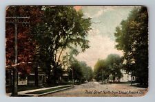 Newark OH-Ohio Scenic Third Street Power Lines Trees c1908 Vintage Postcard picture
