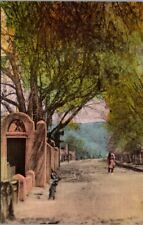 RARE Old Taos New Mexico NM Street Scene Hand Colored Postcard picture