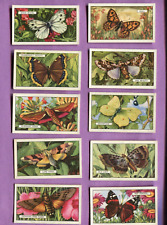1938 GALLAHER LTD CIGARETTES BUTTERFLIES AND MOTHS 10 DIFFERENT CARD LOT picture