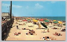 Rehoboth Beach Delaware, Greetings, Sunbathers Umbrellas, Vintage Postcard picture