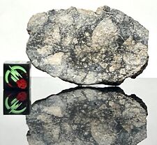 NWA 15658 (10.93g) Meteorite Polished Slice Eucrite Melt Breccia IMCA Sellers picture