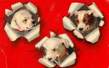 Jack Russell Terrier Puppies One with Monocle Embossed Vintage Red Postcard picture
