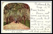 St Augustine FL Live Oaks Florida Highway Artist Postcard Posted 1909     pc163 picture