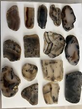 really old yellowstone Montana Moss  & Banded Agate Slab Lot 15 slabs b picture