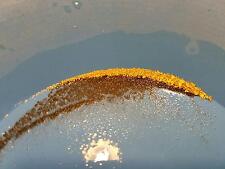 Unsearched GOLD PAYDIRT for Panning Gold Guaranteed Alaska picture